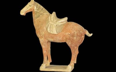 Tang Dynasty Pottery Horse with Saddle