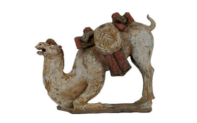 Large Tang Dynasty Crouching Bactrian Camel