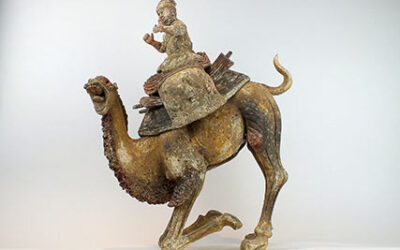 Extremely Rare Bactrian Camel
