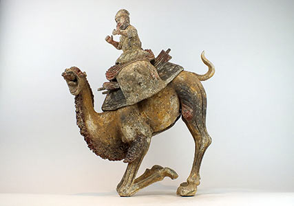 Extremely Rare Bactrian Camel