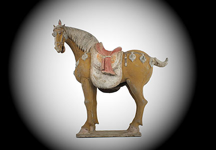 Important Tang Caparisoned Horse